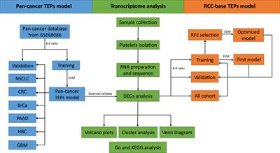 Tumor-Educated Platelets as a Promising Biomarker for Blood-Based Detection of Renal Cell Carcinoma